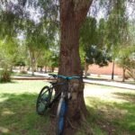 VTT Rockrider ST 520 roues 27,5 pouces taille XL à Marrakech