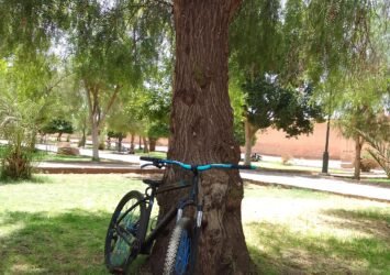 VTT Rockrider ST 520 roues 27,5 pouces taille XL à Marrakech